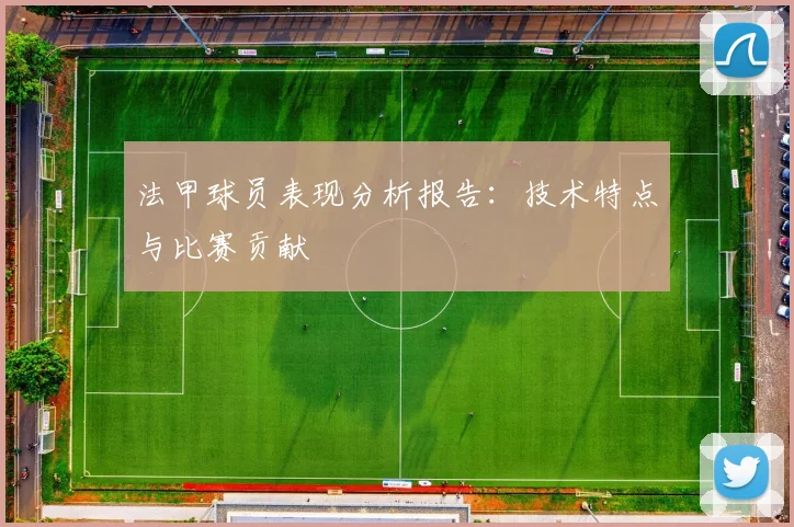 法甲球员表现分析报告：技术特点与比赛贡献